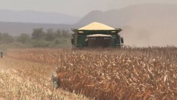 Trámites obstaculizan pronto pagos a productores