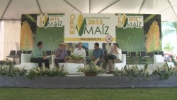 Planeación, exportación y reserva estratégica de granos , requiere Sinaloa