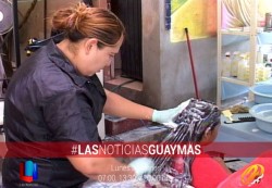 Realiza Casa Franciscana de Guaymas A.C. jornada médica enfocada a la niñez