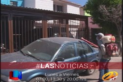 Dengue con 326 casos confirmados en Sonora