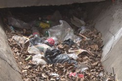 No hay respuesta de las autoridades municipales a la denuncia de cuneta