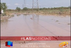 Exhortan a mantener sus patios limpios