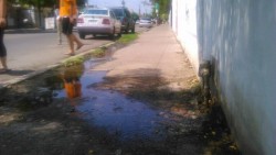Fuga de agua en la Secundaria Federal 5