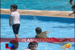 Confirman primer caso de amiba de la vida libre