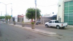 Atiende Ayuntamiento la solicitud de rehabitación de camellón en Santa Anita