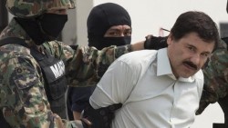 Representa gravedad para las Instituciones de Seguridad, la fuga de "El Chapo": Daniel Amador Gaxiola