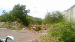 Piden se atienda solicitud de construcción de puente que conecte al Malecón Nuevo