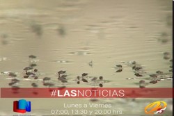 Exhorta a la población a limpiar sus patios