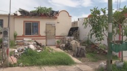 Temen en fraccionamiento Los Ángeles proliferacion del dengue