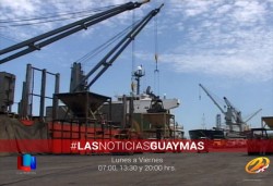 Crecen los movimientos de carga en APIGUAY