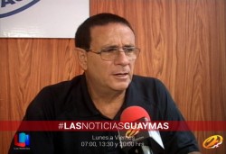 Caen árboles y postes telefónicos durante la última lluvia