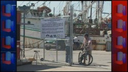 Instalan portones en los accesos del muelle del Parque Bonfil