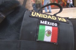 Realizan exhibición de unidad K-9 de la SSP