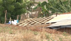 Techos destruidos, árboles caidos y afectaciones en la energía eléctrica fueron los estragos que dejó la lluvia en Mazatlán.
