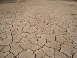 CEAPAS está apoyando a 384 comunidades en 14 municipios por escasez de agua