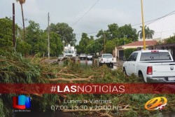 Derrumbe de árboles y daños materiales dejó la lluvia del martes en Cajeme