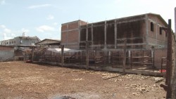 Corrales de ganado en medio de viviendas en CostaRica generan inconformidad de los vecinos