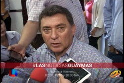 Preocupa a OCI  "presunta" intención de venta del delfinario