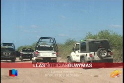 Logran ver una puma y sus críos cerca de Playa Los Algodones