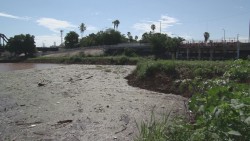 Toneladas de basura, escombro y madera son arrastrados por el rio Culiacán