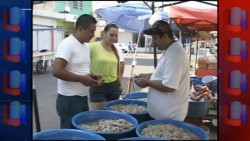 En un 70% se ha incrementado la venta de camarón en esta temporada vacacional