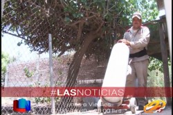 La honestidad de Don José