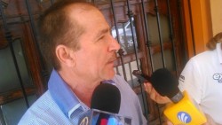 Pulgón amarillo presente en los cultivos de sorgo de temporal