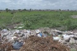 Ya no hayan que hacer con lote baldío en el Fraccionamiento San Fernando
