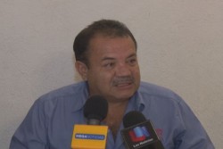 Detectan de nuevo presencia de pulgón amarillo en sorgos