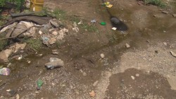 Habitantes de Las Coloradas viven entre aguas putrefactas por falta de drenaje