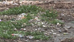 Presa Derivadora con basura, tras las lluvias registradas