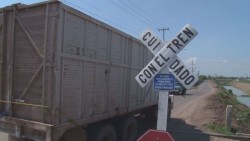 Implementarán Programa de reordenamiento y señalización de cruceros del tren