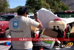 Hay brote de dengue en Guaymas