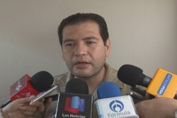 Cesavesin libera Crisopa para atacar plaga de pulgón amarillo