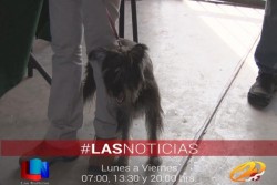Superan la meta