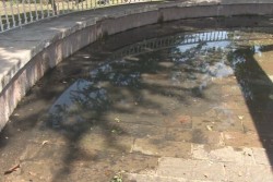 Agua estancada en Malecón, genera proliferación de moscos