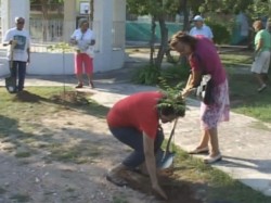 Jóvenes de corazón de Mazatlán participan en Jornada Ecológica.