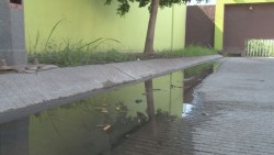 Continúa el problema con el drenaje en fracc, Molino de Flores