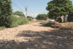 Piden raspen calle y corten árbol que toca cables de energía eléctrica