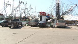 Entre basura y carros mal estacionados trabajan los pescadores en el Muelle del Parque Bonfil