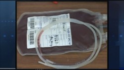 Invita IMSS a reforzar la donación altruista de sangre