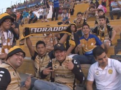 Dorados vs Puebla El Color