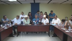 Sin recursos el estado para hacerle frente al pulgón amarillo