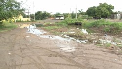 Vecinos de la Colonia Estero viven en un foco de infección