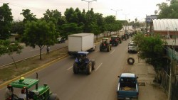 Se exploran alternativas para cumplir con el pago a productores de maiz