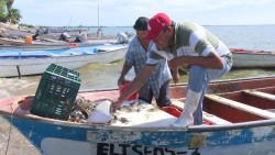 Pescadores critican fecha para levantamiento de la veda del camarón