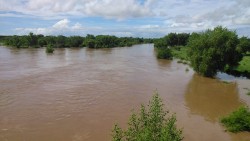 El Río Presidio de Villa Unión alcanza altos niveles y se desborda afectando caminos vecinales.