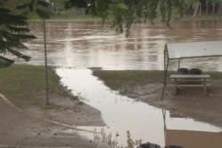 Empieza a salirse el agua del Río en el Parque las Riberas