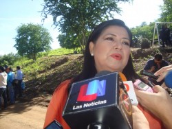 Buscan apoyar a productores con tierras afectadas por pulgón amarillo.