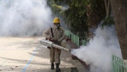 Declaran alerta sanitaria en Sonora por brote de dengue